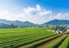 亚洲日本一线产区与二线区的产业布局与发展对比
