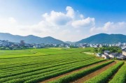 亚洲日本一线产区与二线区的产业布局与发展对比