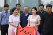 国内吃瓜爆料黑料网曝门，网络爆料文化的狂欢与隐忧