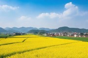 9精产国品一二三产区，解码中国产业升级的黄金三角