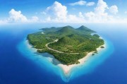岛多多论坛，连接岛屿文化的数字桥梁