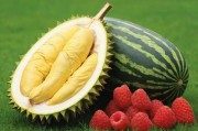 榴莲、草莓、西瓜、茄子、黄瓜，五种水果蔬菜的奇妙世界