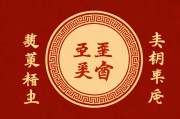 丰年经的继拇中文3，传统智慧与现代教育的融合