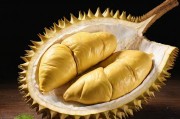 lll.999 榴莲视频，探索榴莲文化的视觉盛宴