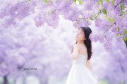 五月丁香，爱与自由的交响诗