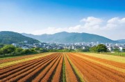 日本二线产区产业结构解析，区域经济的潜力与挑战