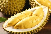 榴莲推广APP网站入口官网，一站式解决榴莲爱好者需求