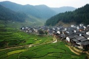 青林村纪事，那又黑又粗的百年记忆