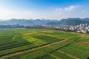 国产一产区与二产区，中国产业发展的双轮驱动