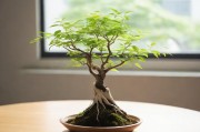 日本72种扦插方式，探索植物繁殖的奥秘