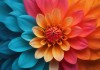 花色App，探索数字时代的视觉盛宴与创新体验