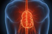 阿阿痛痛痛痛痛痛痛痛痛疼疼疼疼，人类疼痛体验的多维解析