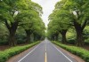 探寻伊甸园，一路至四路入口位置全解析