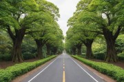 探寻伊甸园，一路至四路入口位置全解析