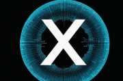 XV文件，格式解析与应用场景全面指南