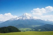 Feipinpai，中国山寨品牌的崛起与反思
