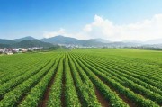 亚洲一线产区与二线产区的区别，产业布局、经济影响与发展潜力
