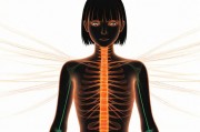 从线条到色彩，动漫艺术中身体美学的演变与边界探索