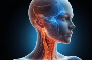 探索人类多样性，从生物学与文化视角看体貌特征的差异