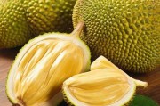 菠萝蜜视频App，探索短视频娱乐的新天地