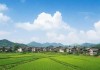 2024蚂蚁新村今日答案最新，每日挑战助力乡村振兴