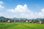 2024蚂蚁新村今日答案最新，每日挑战助力乡村振兴