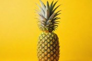 大菠萝福利中心App，您的全方位福利助手