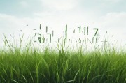 野草、乱码、一二三四，数字时代的无序与有序之辨