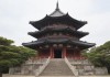 日本ZLJZLJZLJ现象，文化、经济与社会的多维透视