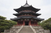 日本ZLJZLJZLJ现象，文化、经济与社会的多维透视