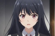 少如四川BB站，小众文化的新兴力量