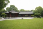嫩草影院，网络灰色地带的诱惑与法律风险
