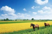 人马畜禽company免费澎湃号，农业产业化的新风口还是资本的游戏？