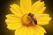 蜜芽MY188.CNN永不失联，数字化时代的稳定连接与信任保障