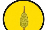菠萝蜜App，污污内容背后的社交现象与监管挑战