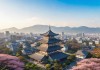 日本一线产区与韩国二线产区的区别，品质、市场与文化的深度解析