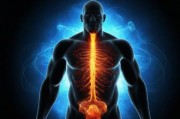 巨型黑人的尺寸是多少厘米？探索人类体型极限与科学真相