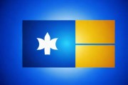 Windows操作系统在美国与欧洲市场的演变与影响