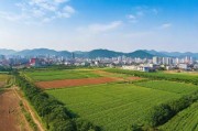 97精产国品一二三产区，中国产业升级的典范与未来路径