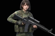 日本CSGO大姐姐AWP皮肤价格解析，收藏价值与市场趋势