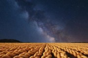天美麻花星空大象在线看，数字时代下的文化奇观与心灵漫游