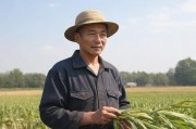 农夫新导航，科技赋能传统农业的智慧革命