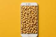 日本LINODE、iPhone 69与麻豆文化，科技与流行文化的跨界碰撞