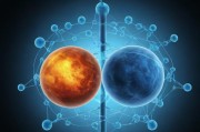 钙GGY2023，探索钙元素在健康与科技中的前沿应用