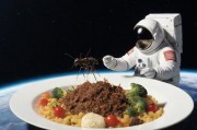 航天员落地第一餐为何如此讲究？蚂蚁庄园科普太空饮食奥秘