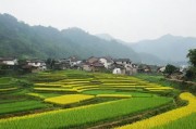 农村露脸贵在真实，回归本真，方能动人