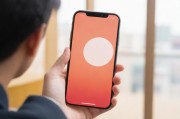 iPhone XS Max日本市场表现与使用体验全解析