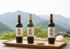 亚洲日本清酒产业解析，一线产区与二线产区的特色与差异