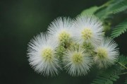 含羞草传媒隐藏路线2023网站，探索数字时代的隐秘传播网络