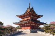 东京热APP，探索日本文化的新窗口还是争议的焦点？